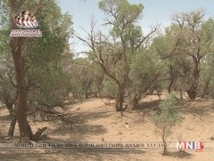 Тооройн төглийг аялал жуулчлалын брэнд болгоно