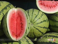 Тарвас амин дэмийн эх булаг