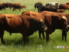 Багахангай дүүрэгт нийслэлийн Засаг даргын орлогч ажиллана