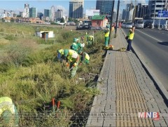 Нийслэлийн 424 мянган ам метр талбайн шарилжийг хадав