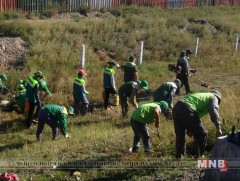 Нийт 287 мянган ам метр талбайн шарилж цэвэрлэжээ