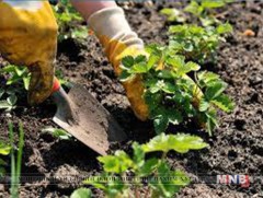 Рио Де Жанейро хот олимпийн тамирчдын төгөлтэй болно