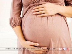 Жирэмсэн болон амаржсаны тэтгэмжийг хэрхэн авах вэ 