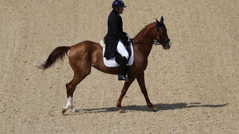 Риогийн олимпийн шандаст хүлгүүд