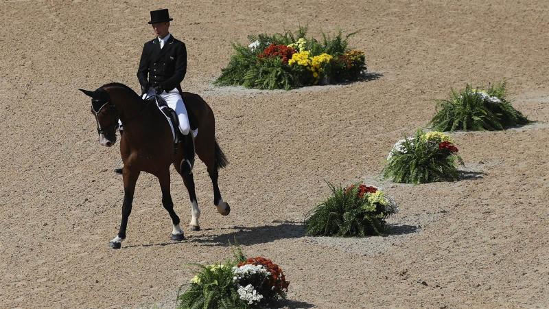 Риогийн олимпийн шандаст хүлгүүд