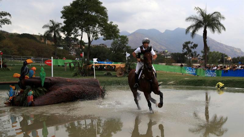 Риогийн олимпийн шандаст хүлгүүд