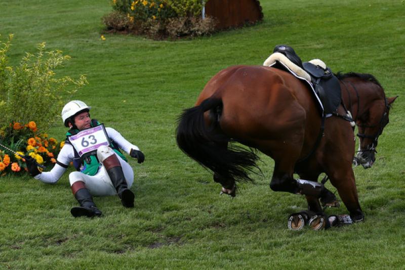 Риогийн олимпийн шандаст хүлгүүд