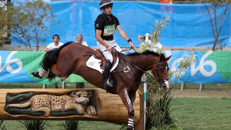 Риогийн олимпийн шандаст хүлгүүд