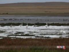 Ганга нуурыг хэрхэн аврах вэ 