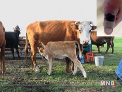 Боом өвчнөөс сэргийлцгээе