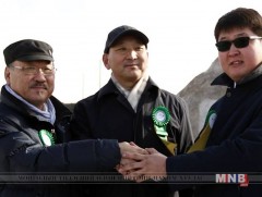 Үндэсний цэцэрлэгт хүрээлэнд “Ботаникийн бичил цэцэрлэг” байгууллаа