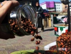 Самрыг ястай нь экспортлохыг хориглодог