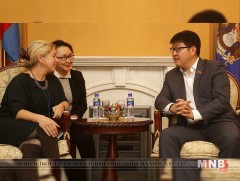 Нутгийн өөрөө удирдах байгууллагын чадавхийг бэхжүүлэх сургалт болно