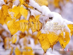 Улаанбаатарт нойтон цас орно