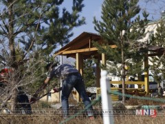 Хоёрдугаар эмнэлгийн урд талбайд 90 гаруй нарс тарилаа