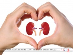 Бөөрний дутагдлаас урьдчилан сэргийлье