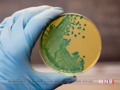 Yл үзэгдэгч амьдралаас...