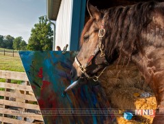 Зураач морь Жастин...