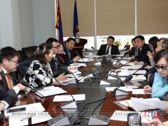 Хөгжлийн бэрхшээлтэй иргэдийн зөвлөл хуралдлаа