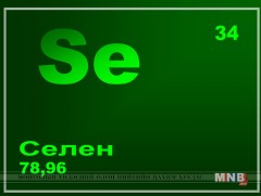Малын гэдэс, доторт агуулагддаг Селен хорт хавдраар өвчлөх эрсдлийг бууруулна