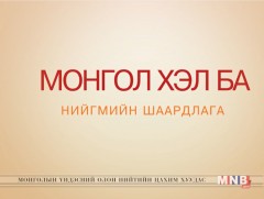 Албан бичгийн хэл найруулга