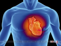  Зүрх судасны өвчлөлөөс урьдчилан сэргийлье