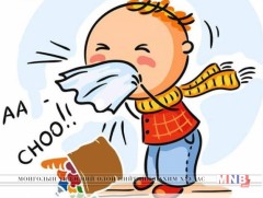 Ханиад томуутай тэмцэхэд танд төлөвлөгөө хэрэгтэй