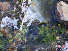 Тэсгэм өвлийн ховор үзэгдэл-