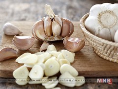 Сармис нь судсыг өөхжин хатуурахаас сэргийлдэг 