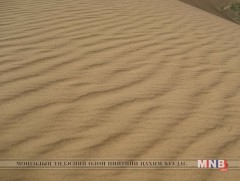 Дуугардаг элс 