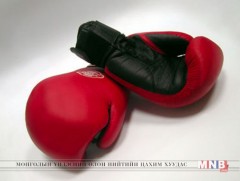 Боксын холбооны ерөнхийлөгчид С.Батболд, Б.Нямтайшир нар нэр дэвшлээ