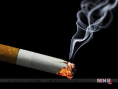 Тамхи татахыг нэг төрлийн өвчин гэж үзэх болжээ  