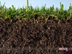 Хөрс хамгаалах үндэсний хөтөлбөртэй болно 