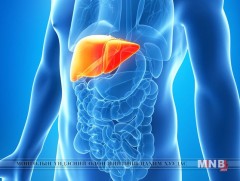 Дэлхийн хэмжээнд жил бүр 40 сая хүн хавдартай хэмээн оношлогддог