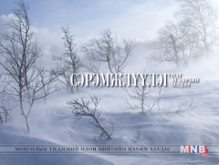  Өнөөдөр ихэнх нутгаар цас орж, цасан шуурга шуурна