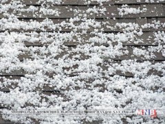  Өмнөговьд тэнгэр дуугарч, мөндөр оржээ