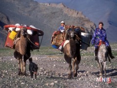 Монголоос уран бүтээлч Э.Энхзаяа, Ж.Болортүвшин нар шалгарчээ