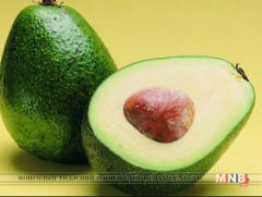 Авокадо жимс нь хорт бодисыг саармагжуулдаг