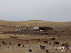 Дундговийн ЗДТГ-аас төрийн үйлчилгээг иргэдэд хүргэх аяныг явуулж байна