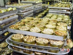 Нөөшилсөн загас хэрэглэхдээ үүнийг анхаар 