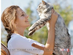 Та мууртайгаа ойлголцдог уу...