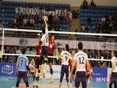 Манайхан Солонгосчуудыг барсангүй