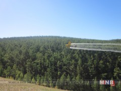 Ойн хөнөөлт шавжтай тэмцэж байгаа манай орны арга, технологийг дэлхийн жишигт нийцсэн гэж үнэллээ 