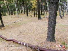 Улаанбаатар хот орчим хуурайшилтын “нэн аюултай” зэрэглэлд байна 