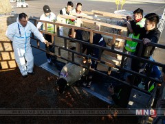 Малын чанар сайжруулах ажлыг эхлүүлэв