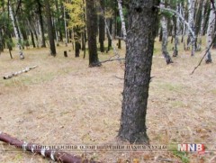 Улаанбаатар хот орчим хуурайшилтын эрсдлийн “аюултай” зэрэгт байна  