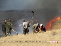 Он гарснаас хойш нийслэл, орон нутагт 69 түймэр гараад байна