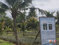 Эзэн хааны санаачлагаар хэрэгжүүлж буй төсөлтэй танилцав