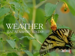 Улаанбаатарт шөнөдөө 8 хэм дулаан 