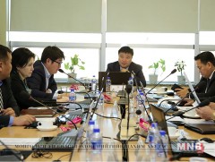 Улаанбаатар хотын гудамжинд шилжүүлэн суулгасан шилмүүст модны ургалтын явцтай танилцлаа 